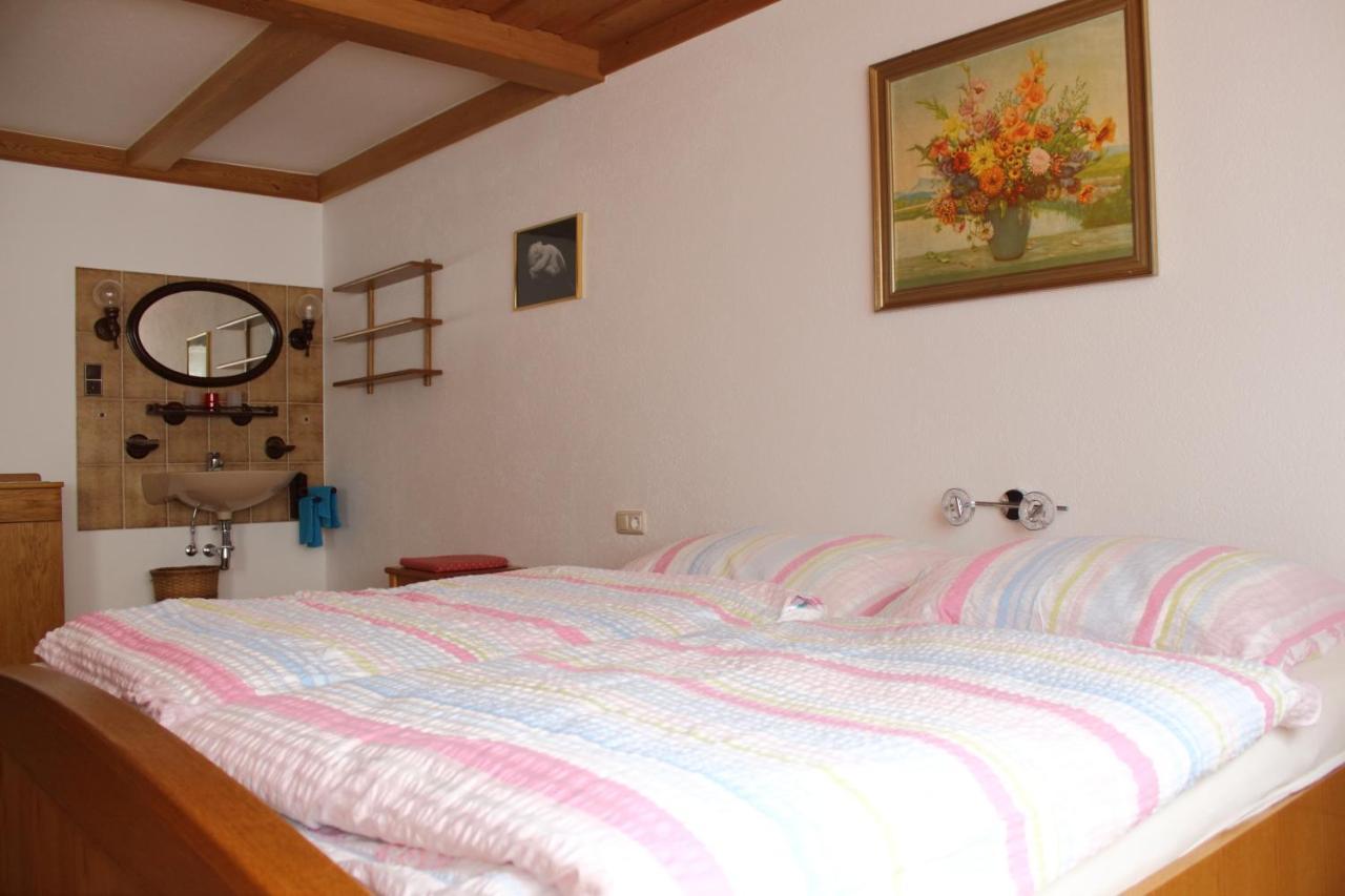Ferienwohnung Innerhofer Hollersbach im Pinzgau Εξωτερικό φωτογραφία