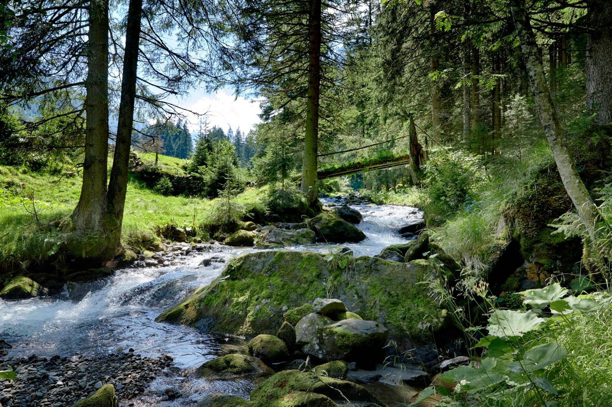 Ferienwohnung Innerhofer Hollersbach im Pinzgau Εξωτερικό φωτογραφία